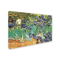 Трговска марка ликовна уметност „ирис градина“ платно уметност од Винсент ван Гог