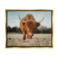 Tuphel Farmhouse Highland Cattle Ranch Animal & Insects Photography Gold Floater Rramed Art Print Wall Art